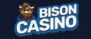 bisoncazino.net.pl